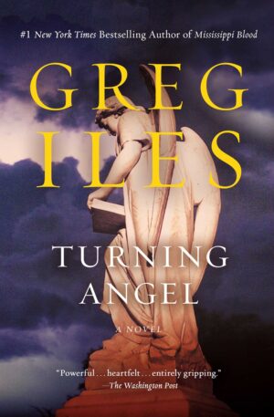Turning Angel: A Novel